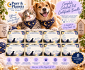 Complete Celestial Pet Certificate Bundle | 8 Printables | English + Spanish
